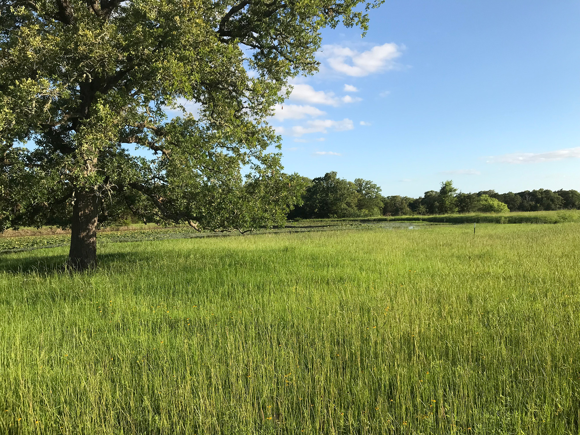 property-ElRanchoRobles-FayetteCounty-4